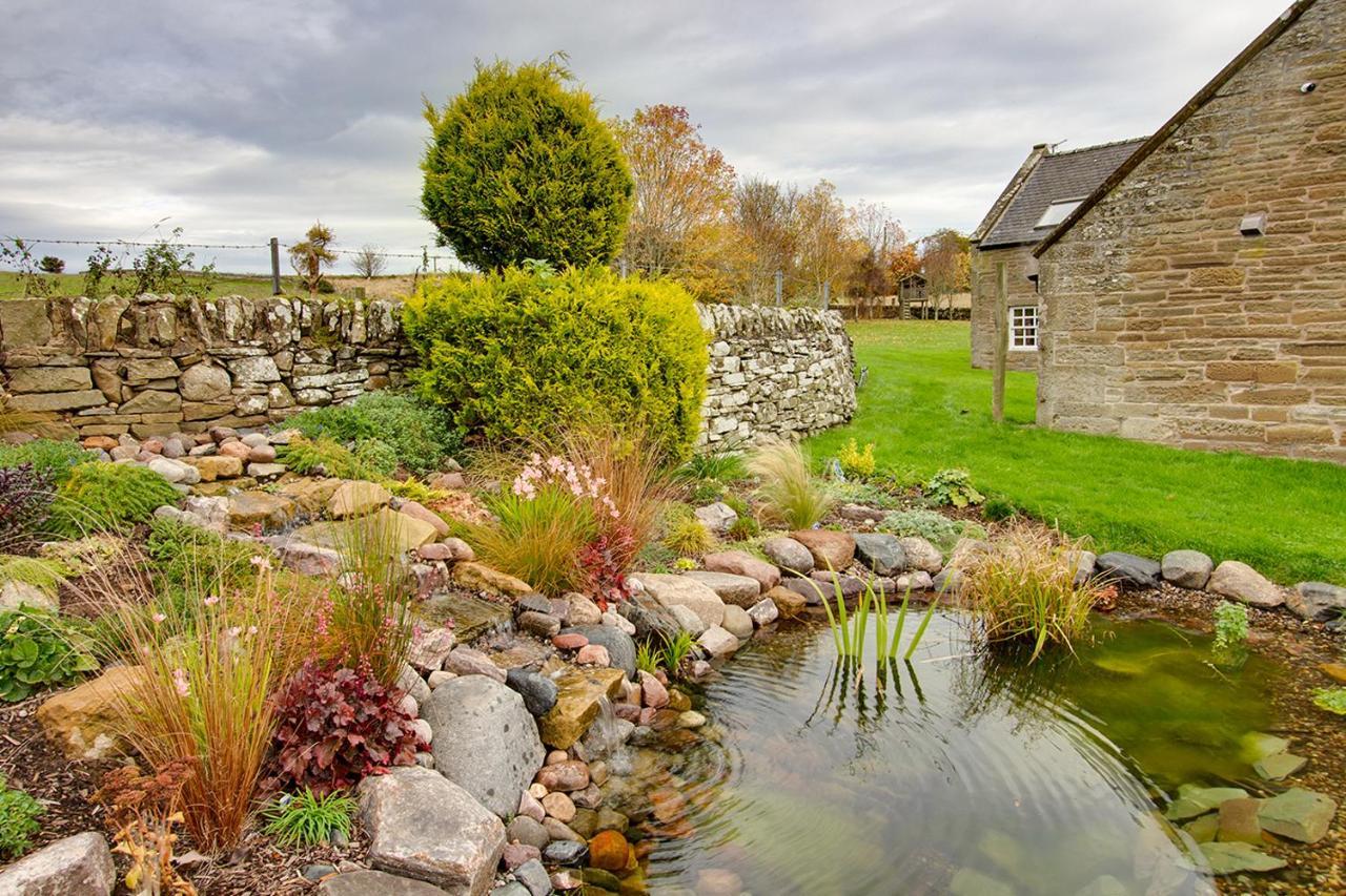 Home Farm B&B - Sunflower Room Forfar Exteriör bild